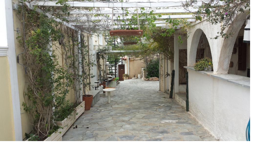 Barbecue area under a vine-covered pergola